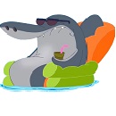 Avatar du membre